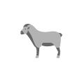 Adak-Akika
